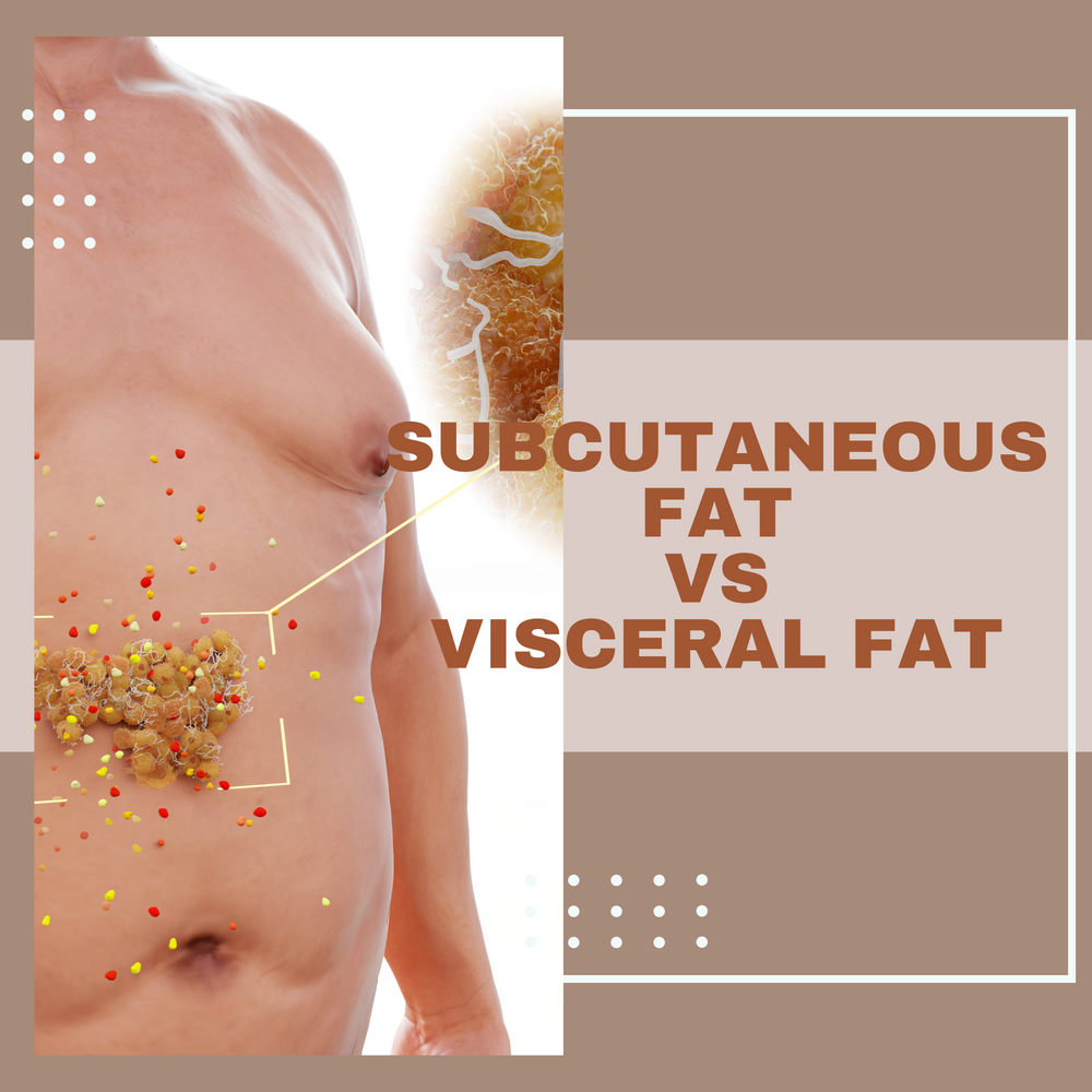 Subcutaneous Fat VS Visceral Fat