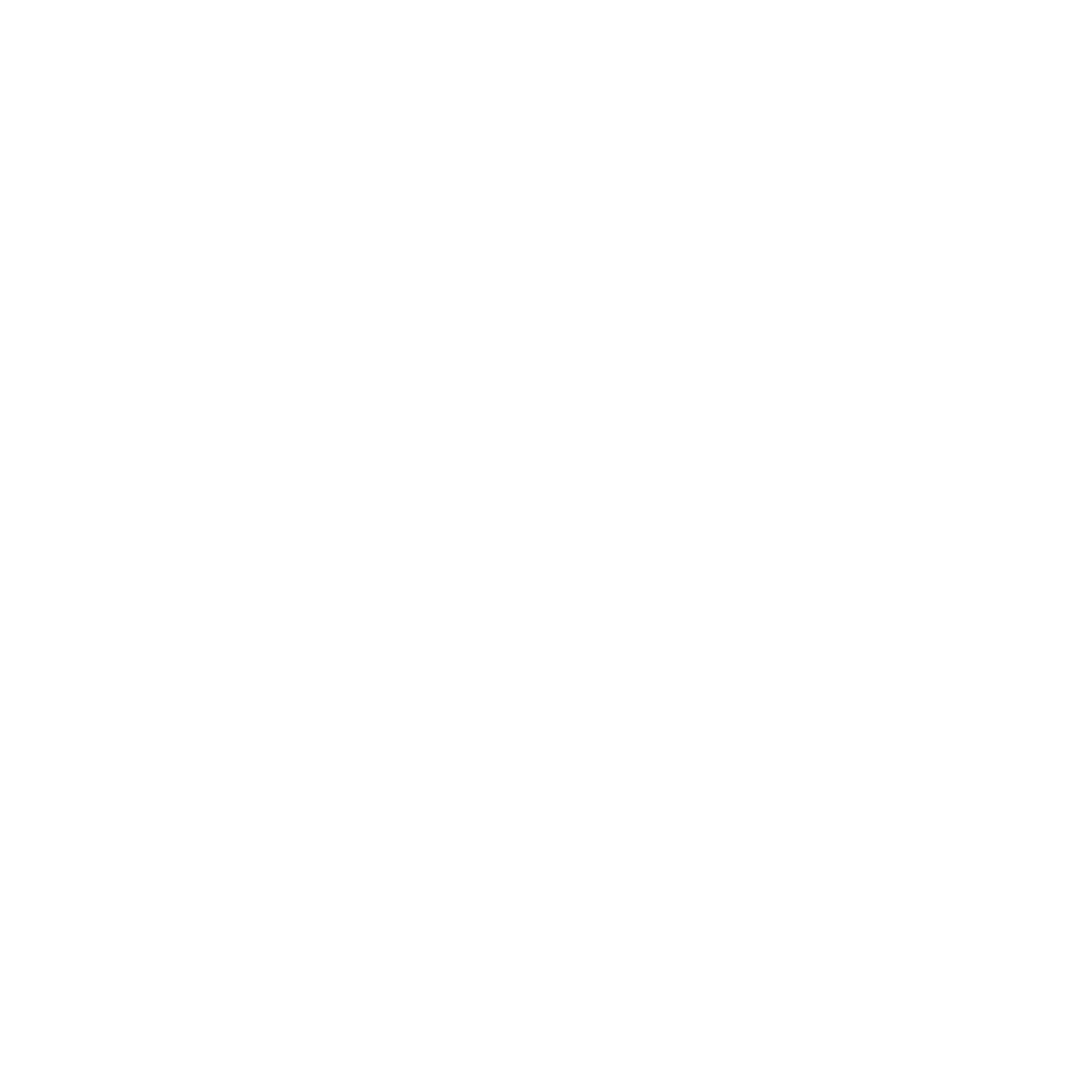 HealthyHolic