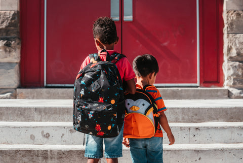 Schools